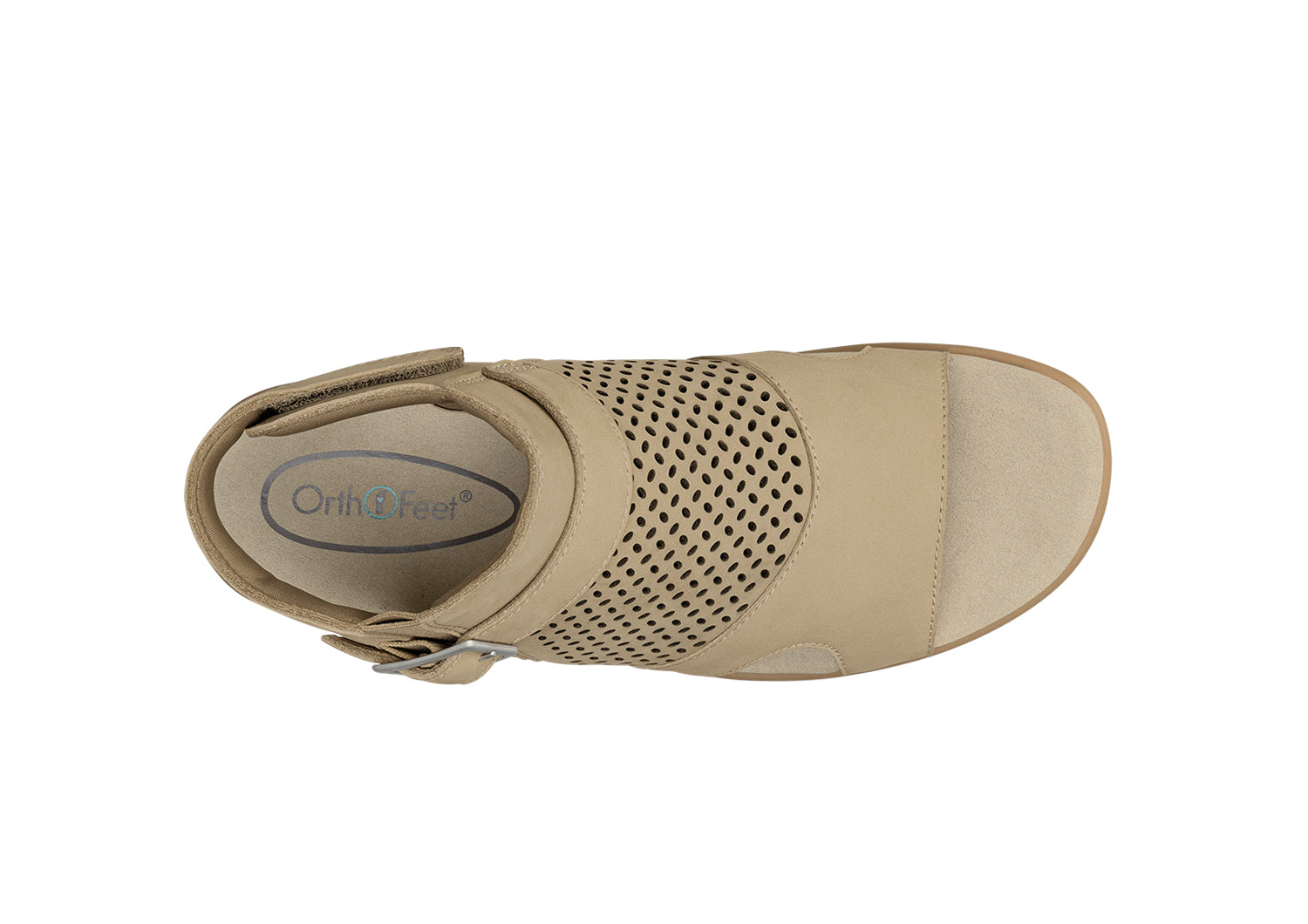 Taylor - Image 7